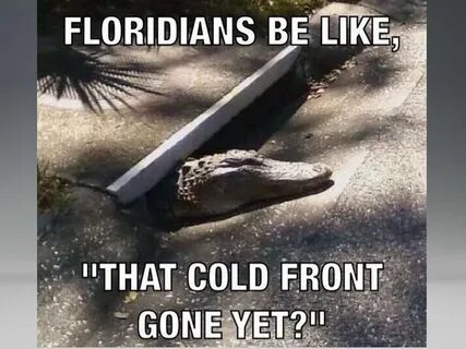 Floridians be like ... That cold front gone yet? Florida fun