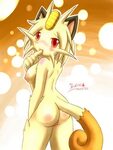 Xbooru - ass breasts female furry meowth pussy tail 361326