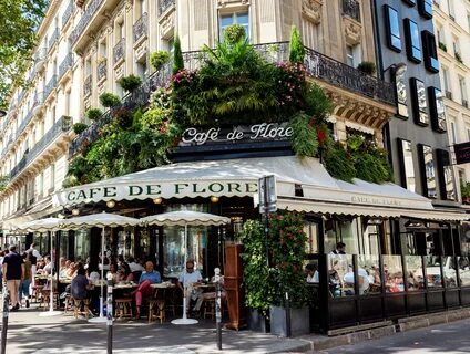 Flore de lille youtube