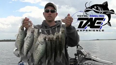 How To Catch FAT Pre Spawn Crappie - YouTube
