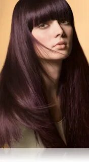 Dark burgundy hair, Hair color for black hair, Hair color bu