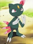 Top 5 Dark Type Johto Pokemon Pokémon Amino
