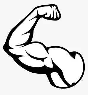 Muscle Arm Png Picture Muscles Clipart Black And- - Muscle P