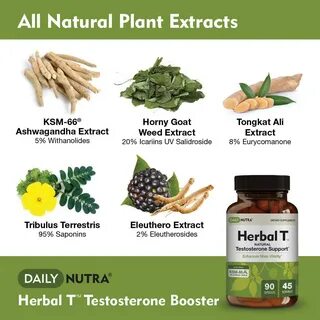 Boost testosterone naturally with these foods and herbs - Ca