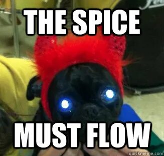 The spice must flow gif