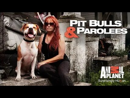 PIT BULLS AND PAROLEES Spirit Music Collective