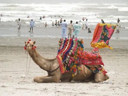 Clifton Beach, Karachi, Pakistan