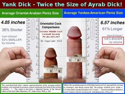 How Big Are Pornstars Dicks - Telegraph