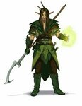 Male Elf Druid - Pathfinder PFRPG DND D&D d20 fantasy Dungeo