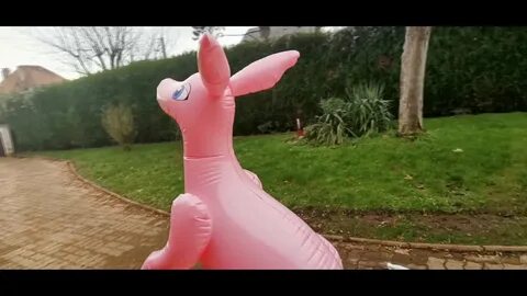 Inflatable Pink Kangaroo Horseplay - YouTube