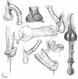 Drawing And Descriptions Of The Penis :: Dynacomp-project.eu