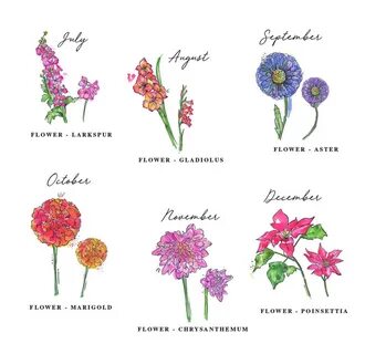 Flowers And Birth Months / Birth Month Flowers and Meanings 