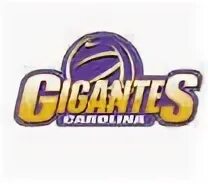 Gigantes de Carolina (women's volleyball) - Wikipedia