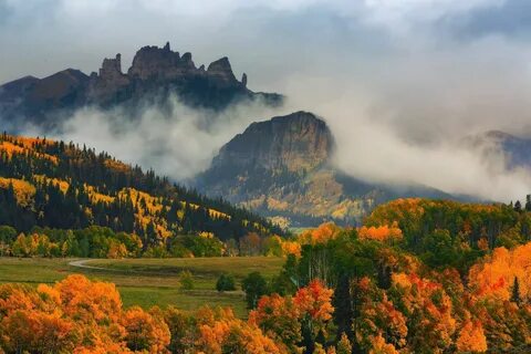 green trees, foggy mountain and forest #nature #landscape #m