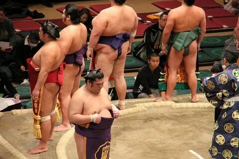 sumo-wrestling-japan - Contented Traveller