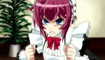 Shounen maid Kuro-kun Wiki *Anime* Amino