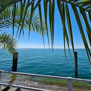 Photo by Die TagTräumerei - Trauungen in Meersburg Bodensee. 