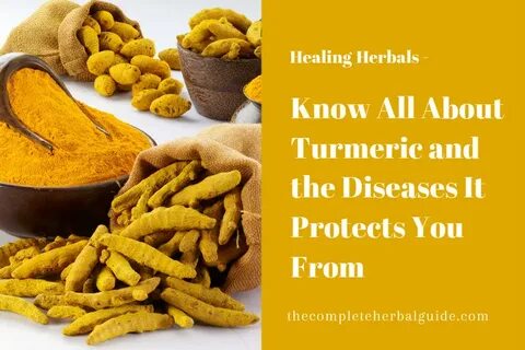 turmeric benefit Archives - The Complete Herbal Guide