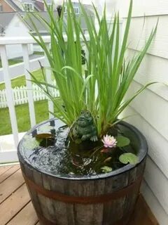 whiskey barrel pond Backyard water feature, Container water 