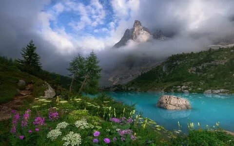 Dolomites (mountains), Italy, Spring, Mist, Lake, Wildflower