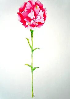 Items similar to Carnation Flower, Watercolor Original Paint