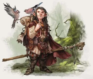 Dragon+ Dungeons and dragons characters, Fantasy dwarf, Char