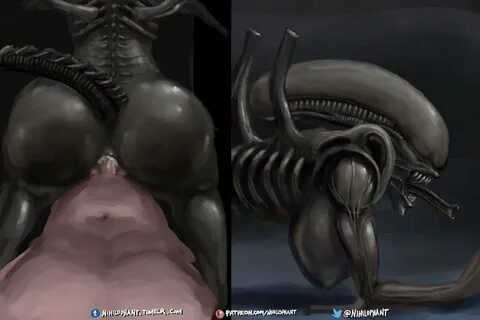 Rule34 - If it exists, there is porn of it / xenomorph / 321