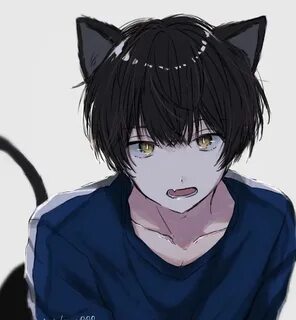 Cat boy anime illustration neko Anime cat boy, Anime neko, A