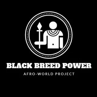 Black Breed Power @BlackBreedPower - Twitter Profile Sotwe