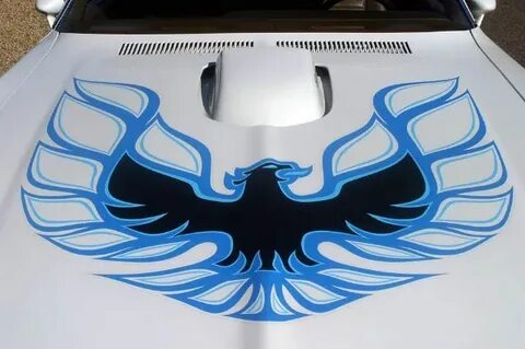the screaming eagle, flaming chicken... the Trans Am hood bi