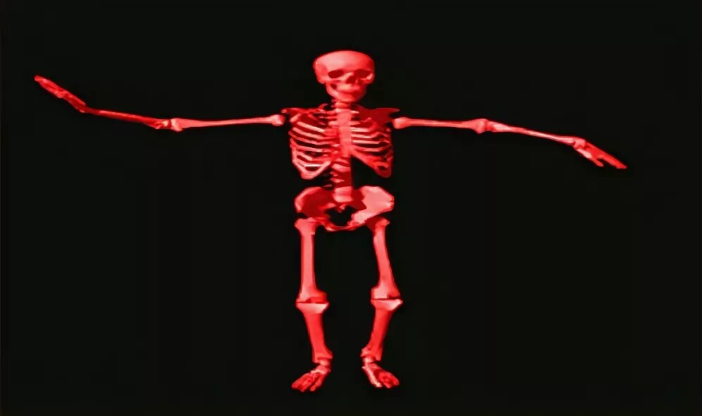 Samuel The Sexy Orange Skeleton - Encyclopedia Dramatica For