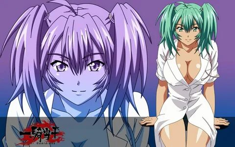 Pin on Ikki Tousen