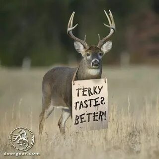 Pin by Allen Company on Hunting Deer hunting humor, Hunting 