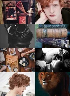 Aesthetic collage. Ron Weasley. Harry potter, Aesthetic coll