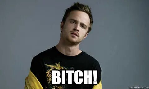 Jesse Pinkman Loves the word Bitch memes quickmeme