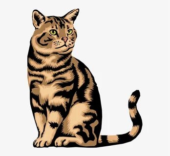 Tabby Cat Clipart Transparent - Animals Do Not Lay Eggs - 55