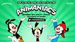 The Animaniacs on Hulu Mini Review - Furry Times