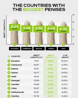 Average Penis Size By Country