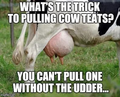 Trick to pulling cow teats - Imgflip