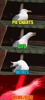 Inhaling Seagull Meme/Gif - Imgflip