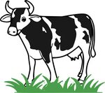 Cow Clip Art 12, Buy Clip Art - Vaca Png - (2400x2143) Png C