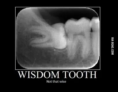 "Wisdom" Teeth - 9GAG
