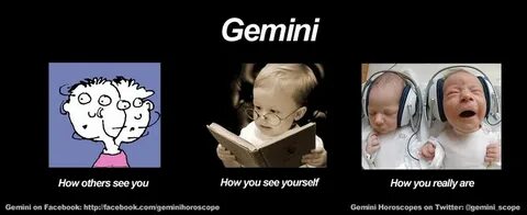 Daily Horoscopes: Funny zodiac meme Horoscope gemini, Gemini