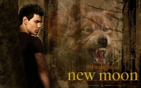 Jacob Black Wallpapers (62+ background pictures)