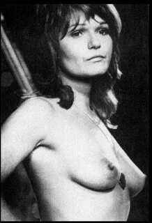 CELEBRITY MODELS NUDE: Valerie Perrine