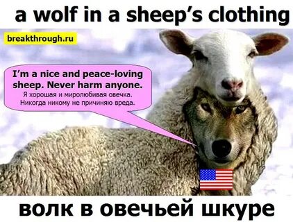 На английском языке волк в овечьей шкуре по-английски эквива