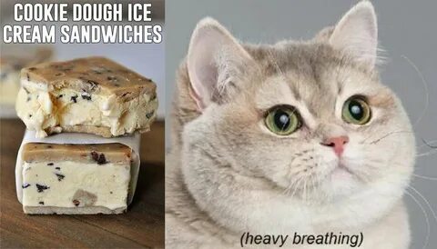 Lol... Cookie dough ice cream sandwiches... heavy breathing 