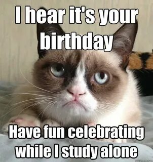 See the Wonderful Cat Birthday Pictures Funny - Hilarious Pe