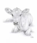 Pin by majo on Animals Animal drawings, Animal art, Cow sket