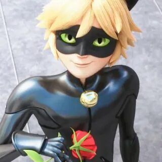 Pin by Couffaine Jacky on Cat noir Miraculous ladybug anime,